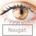 Bioflex Brown ilman pupillisuunnassa 2 kpl